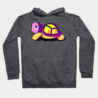 Colorful Turtle Hoodie